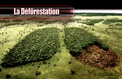 Ladeforestation